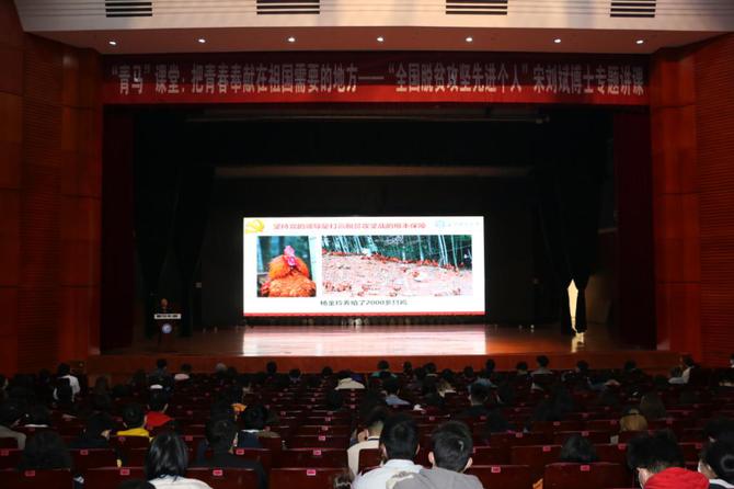 图片7 图片7